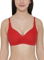 Upto 80% Off On Top Branded Women’s Innerwear