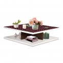 Aart Store Coffee Table for Living Room | Center Table for Home | Teak Finish