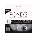 Pantry : Deo, Perfume, Cream, Lotion, Shampoo, Kajal, Shower Gel Upto 60% Off