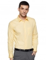 Raymond Formal Shirt