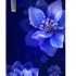 Whirlpool 200 L 4 Star Inverter Direct-Cool Single Door Refrigerator (215 ICEMAGIC PRO PRM 4S INV, Sapphire Mulia)