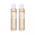 Amazon Brand – Solimo Citrus Bloom Gas Deodorant for Women – Pack of 2