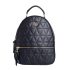 Safari Polyester 78 cms Blue Softsided Check-in Luggage (TRIGON754WBLU)