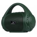 Zebronics Zeb-County Bluetooth Speaker with Built-in FM Radio, Aux Input and Call Function (Green)
