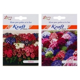 Kraft Seeds 2 In 1 Cineraria Hybrid Starlet Mix And Verbena Hybrid Mix Flower Seed Packet