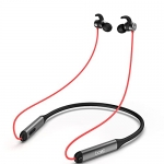 Boat Rockerz 330 In-Ear Bluetooth Neckband With Upto 30 Hours Playtime, Asap Charge, Signature Sound, Dual Pairing & Ipx5 With Mic (Raging Red)