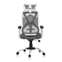 Da Urban® Merlion Office Chair,High Back Mesh Ergonomic Home Office Desk Chair With 3 Years Warranty, Adjustable Armrests,Adjustable Lumbar Support,Smart Tilt Lock Mechanism (Grey)