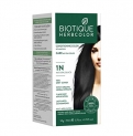 Biotique Bio Herbcolor 1N Natural Black, 50 G + 110 Ml (Conditioning Color No Ammonia)