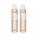 Amazon Brand – Solimo Citrus Bloom Gas Deodorant For Women – Pack Of 2
