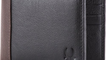 Wildhorn Leather Men Wallet(Black)