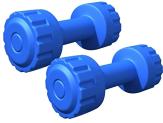 Starx Plastic Xpvc Fixed Dumbbell Set, Adult 1Kg, Set Of 2 (Blue)