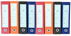 Ganesh Cardboard Box Files(Set Of 8, Multicolor)
