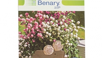 Kraft Seeds Gomphrena Seed