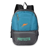 Protecta Paragon 33 L Backpack For Laptops Up To 15.6 Inch(39.6Cm) – Grey & Green