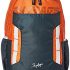 Footloose By Skybags Lynx 40 Cms Red Casual Backpack (Lynx)