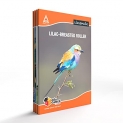 Classmate Notebook – Single Line, 140 Pages, 240 Mm X 180 Mm – Pack Of 4