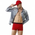 Rupa Frontline Colors Double Decker Mini Trunk