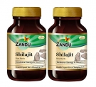 Zandu Shilajit Capsules, Infused With Goodness Of Natural Shilajit Extracts, Helps Boost Immunity & Energy, Supports Metabolism (Pack Of 60 Veg Capsules X 2)